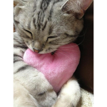 Sleepy Squåd
