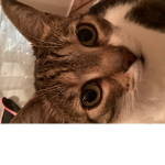Jay and Kiki