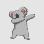 _the amazing koala fan club!_