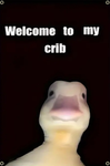 ########## 123