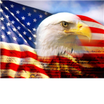 ~USA~  School