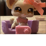 daphinepetshop cool people group