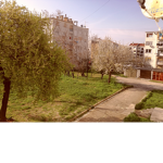 PHOTOS