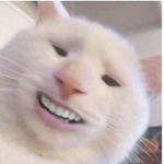 memeziez