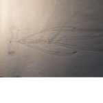Poland flys