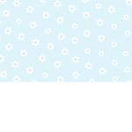 Aesthetic’s shop