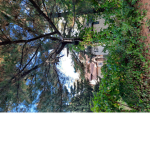 True nature