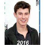 shawn mendes group