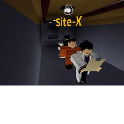 Site-X testing ( remake )