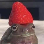 Anime and frog squad