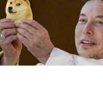 DOGE hi I’m george