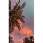 Itsamy_r0bl0x