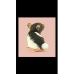 Lovely rats