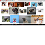 Le Group Of Derpiness :3