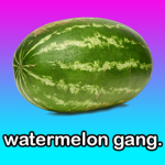 watermelon gang™