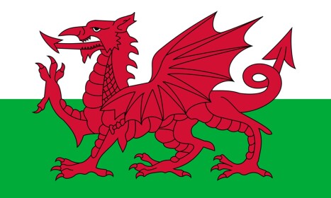 [𝐓𝐇𝐔𝐌𝐁𝐒 𝐔𝐏]  Camp Wolf [WELSH EMPIRE]