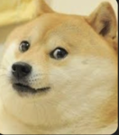 doge club! :D