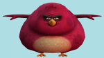 Avas biggest birds