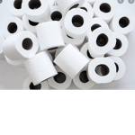 The Toilet Paper Kingdom