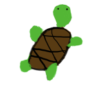 Noodles the turtle 🐢