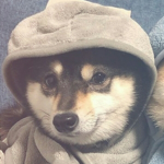 Karam