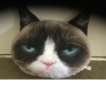 Grumpy Cat Group for Life