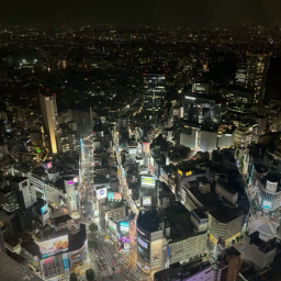 渋