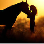 -WHRA- Wild Heart Riding Academy