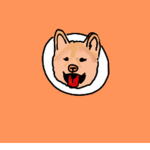 Doggo Productions Inc