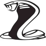 The Viper Assassination Association