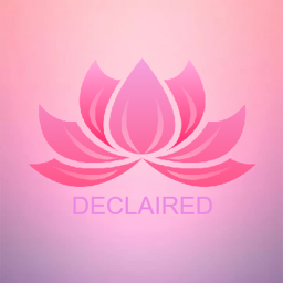 DECLAIRED Runway