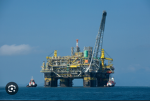 Bean5301’s oil company
