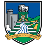 Limerick GAA Fan Group