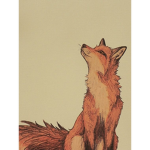•{MY LITTLE FOXES}•