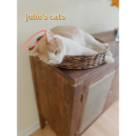 Julie’s cats