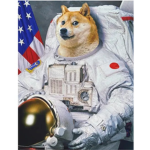Doge space station
