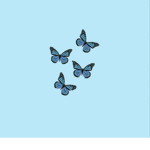 x Butterfly clothing x