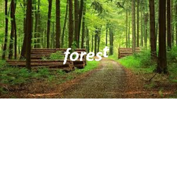 Forest game