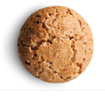 Enchanted_Cookie Army