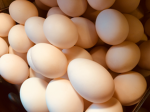 Eggs Village