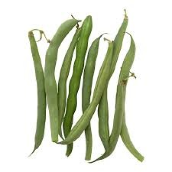 TEAM GREEN BEAN