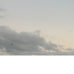 Winter Monday's Group!