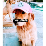– Ella’s apparel!