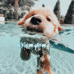 15klemy group|| emily&lena
