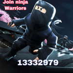 NinjaWarrior Crew