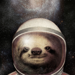 Sloth Health Support