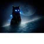 Moonlit Shadow cats