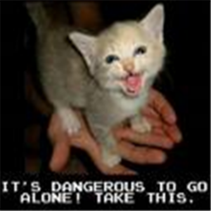 Funny cat Roblox decal