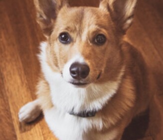 Training