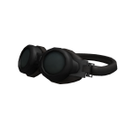 Head Goggles